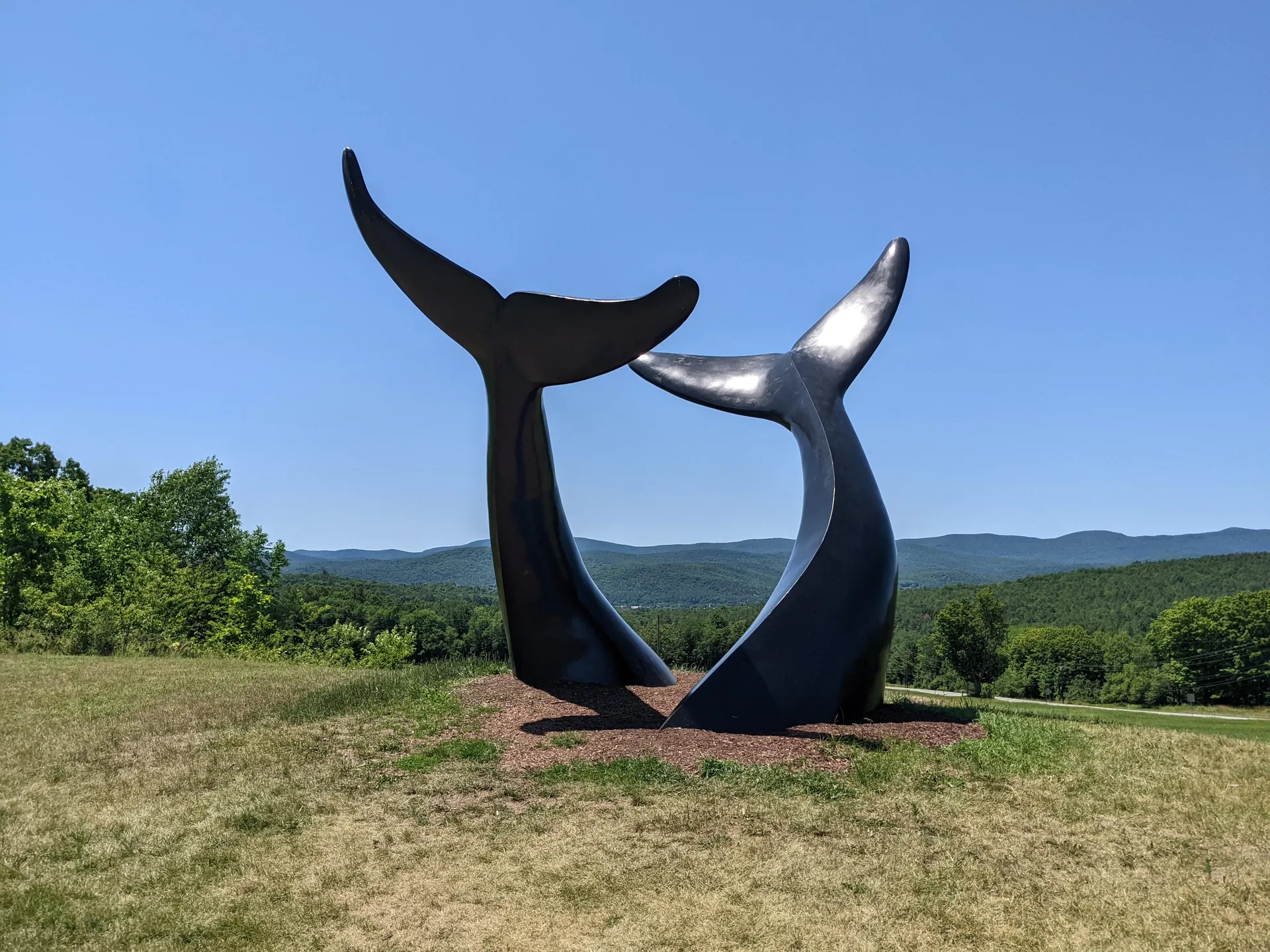 Whale Dance in Randolph, VT